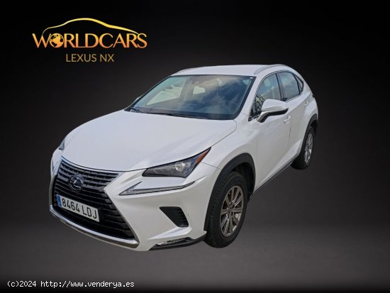  Lexus NX 2.5 300h Business Navigation 2WD - San Vicente del Raspeig 