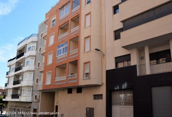  Apartamento en alquiler en Guardamar del Segura (Alicante) 