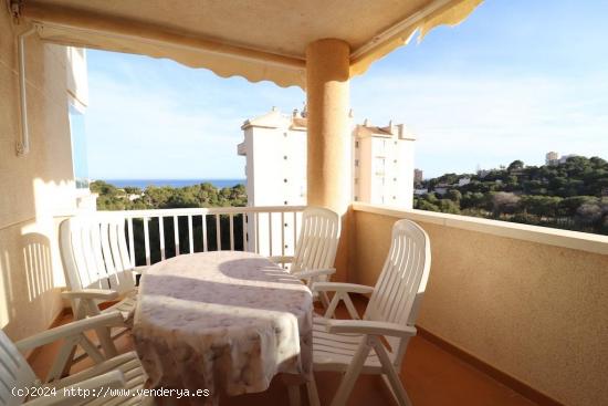  Apartamento con vistas al mar en Pinar de Campoamor - ALICANTE 