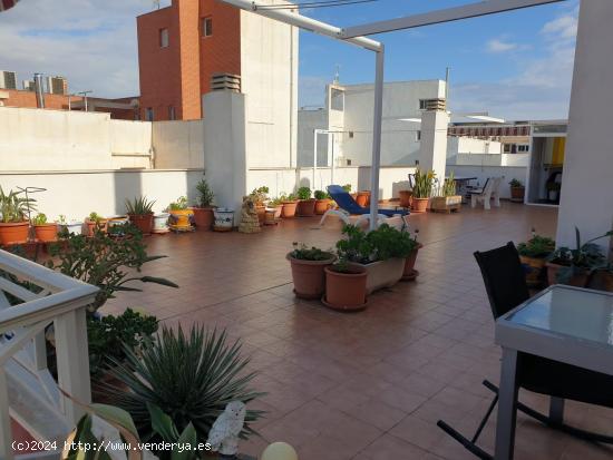  Ático en el centro de Torrevieja con terraza privada de 135m2 - ALICANTE 