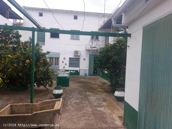  Se vende preciosa casa en Villanueva de la Serena - BADAJOZ 