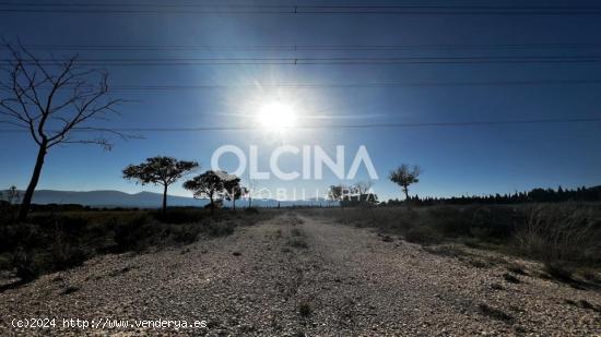  ¡ OFERTA BLACK FRIDAY ! Espectacular Terreno rústico en zona Capuchí, Castalla - ALICANTE 