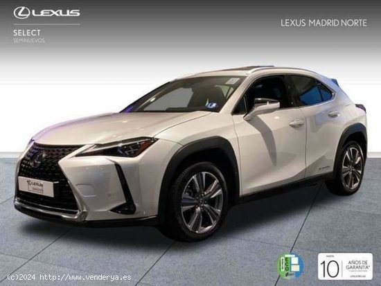  Lexus UX 300e luxury 150 kw (204 cv) - El Plantío 