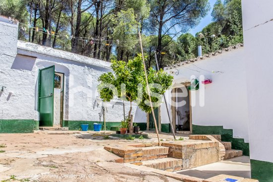  Casa en venta de 273 m² en Calle Alameda, 21310 La Zarza, Calañas (Huelva) 