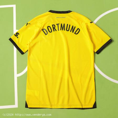  fake Borussia Dortmund shirts 2023/2024