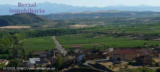  Viñas en Baños de Ebro, Rioja Alavesa - ALAVA 