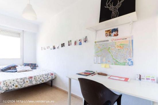 Se alquila habitación en piso de 4 habitaciones en Ciutat Jardi - VALENCIA 