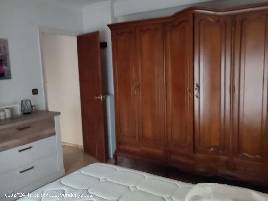 Se alquila habitación en piso de 3 dormitorios en Alicante - ALICANTE 
