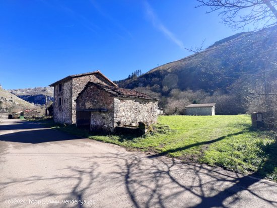  Casa de pueblo en Venta en Morilla Cantabria 