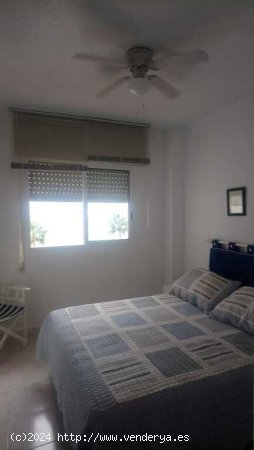  Apartamento en Alquiler en Manga Del Mar Menor, La Murcia 