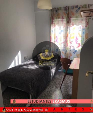  LT/EST/ERASMUS / Piso amueblado de TRES dormitorios en Avenida de Maracena - GRANADA 