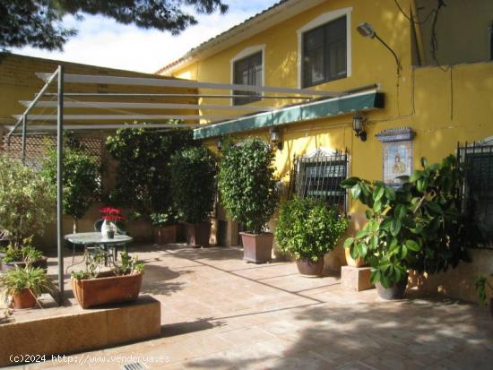  Inmobiliaria San Jose vende chalet en Aspe. Alicante.Costa Blanca - ALICANTE 