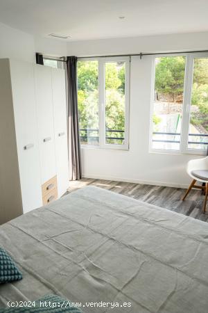  Piso de 3 dormitorios en alquiler en Alicante - ALICANTE 