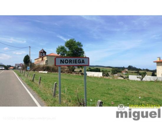  Se vende cuadra sobre parcela  en Noriega, Colombres - ASTURIAS 