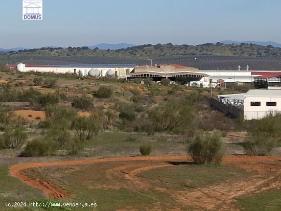  Estupendo terreno Industrial en el polígono el Prado en Mérida - BADAJOZ 