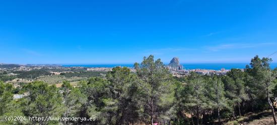  ▷Parcela de 5150 m2 en Oltamar Calpe con Vistas a la Montaña Costa Blanca Alicante - ALICANTE 