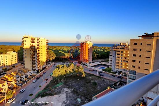  ¡Atico Duplex de 2 dormitorios con espectaculares vistas al mar y a la pinada de Guardamar! - ALICA 