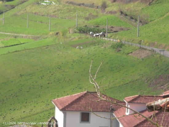  Suelo urbanizable en Venta en Riocastiello Asturias 