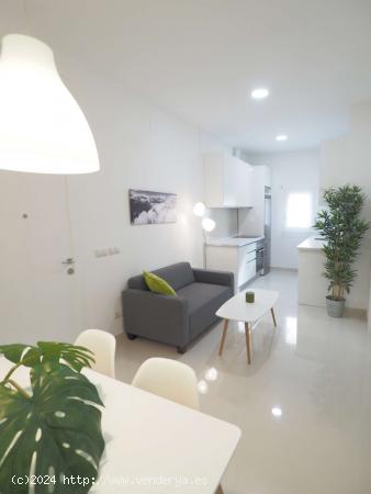  Apartamento de 1 dormitorio en alquiler en Almagro y Trafalgar - MADRID 