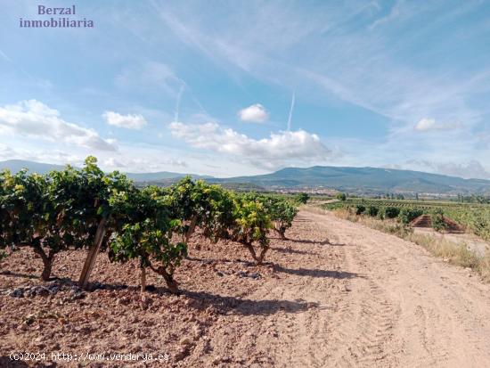  Suelo agrario, de 10.753  m², en Entrena. Plantado de viñas. Agua de acequia junto al terreno. - L 
