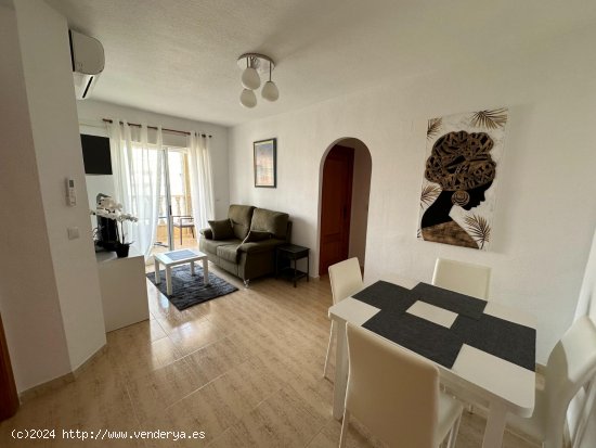  Apartamento en alquiler en Guardamar del Segura (Alicante) 