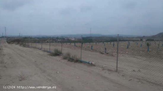  Terreno rústico en venta en pre. de la alabarda, polígono 33, Molina De Segura, Murcia - MURCIA 