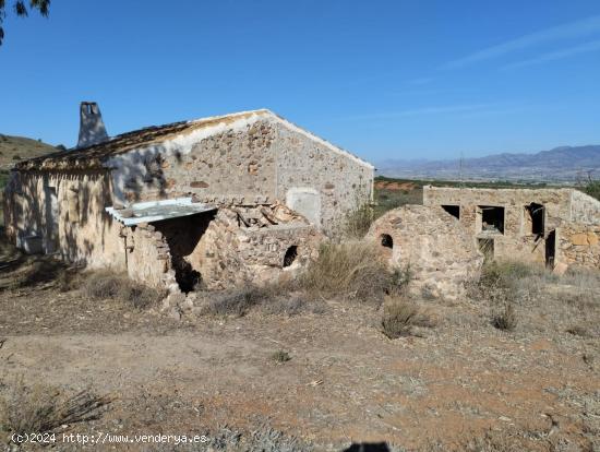  Finca  con regadio con Casa en Ruinas - Raiguero Alto, Totana - MURCIA 