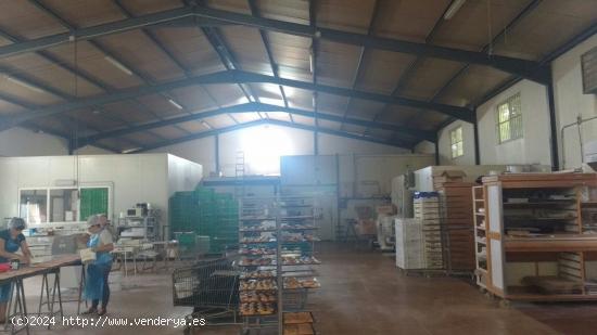 Nave industrial dedicada a fábrica de Panadería en Lorca zona El porvenir - MURCIA 