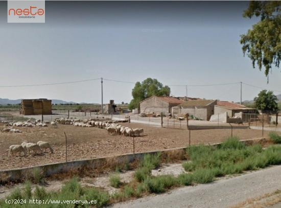  Casa con terreno en Lorca, camino Vera, Edificaciones 768 m2, Parcela 15.987 m2 - MURCIA 