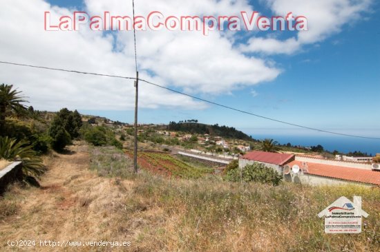  Suelo urbanizable en Venta en Puntagorda Santa Cruz de Tenerife 