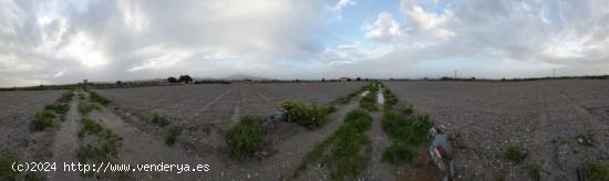  Terreno Rural en Lorca - Zona Torrecilla - MURCIA 