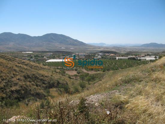  Parcela de 3Ha en pueblo de Goñar, cerca de Lorca y Pto Lumbreras con vistas panorámicas - ALMERIA 