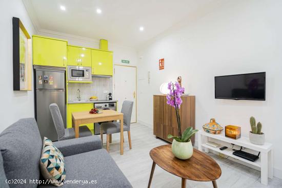  Apartamento de un dormitorio en alquiler en Almagro - MADRID 