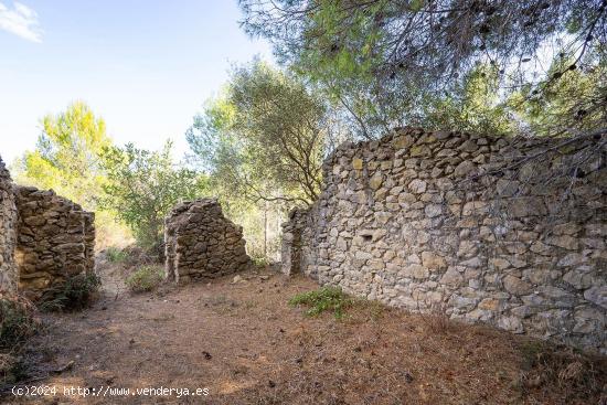  Oportunidad en el Encantador Valle de Jalón - ALICANTE 