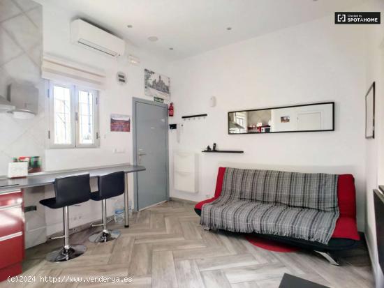  Apartamento amueblado de 2 dormitorios en alquiler en Lavapiés - MADRID 