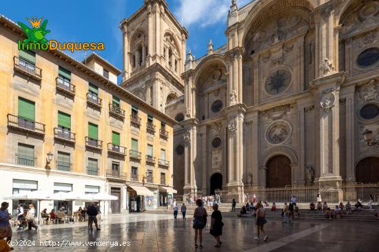  ESPECIAL INVERSORES!!! Espectacular piso en la catedral de Granada. - GRANADA 