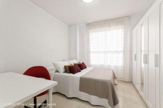  Preciosa Habitación en alquiler en Pio XII, Alicante- Solo chicas - ALICANTE 