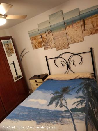  Se alquila habitación en piso de 3 habitaciones en Alicante - ALICANTE 