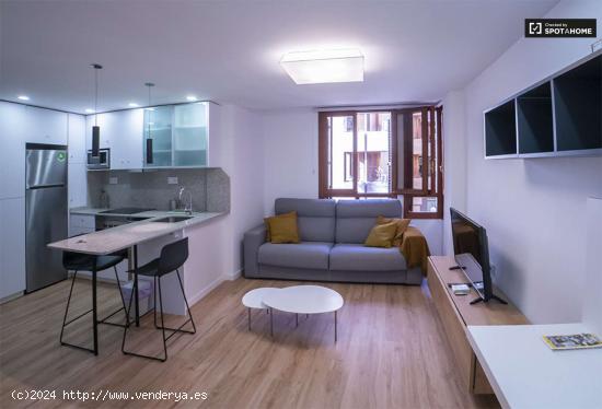  apartamento de 1 dormitorio en alquiler en Ciutat Vella, Valencia - VALENCIA 