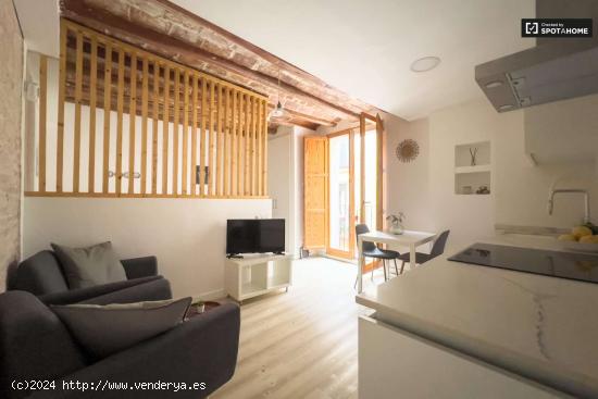  Apartamento de 1 dormitorio en alquiler en El Raval - BARCELONA 