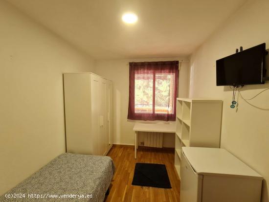  Se alquila habitación en piso de 5 habitaciones en Zaragoza - ZARAGOZA 