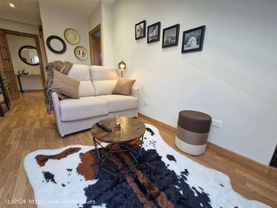  Piso en alquiler de 1 dormitorio en Oviedo - ASTURIAS 