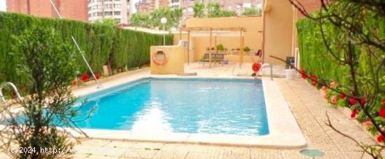  Estupendo apartamento en Levante con parking propio y piscina - ALICANTE 