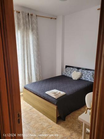  Se alquila habitación en piso de 5 habitaciones en Las Palmas de Gran Canaria - LAS PALMAS 