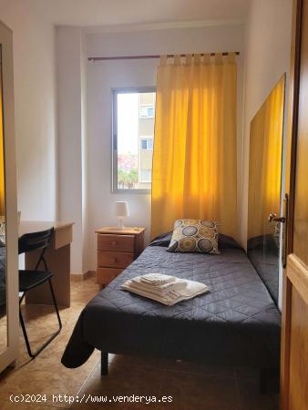  Se alquila habitación en piso de 5 habitaciones en Las Palmas de Gran Canaria - LAS PALMAS 