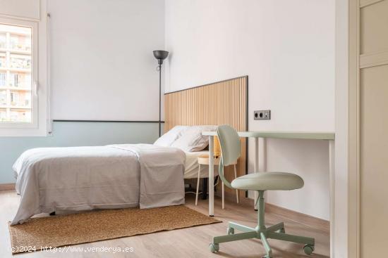  Se alquila habitación en piso de 5 habitaciones en Barcelona - BARCELONA 