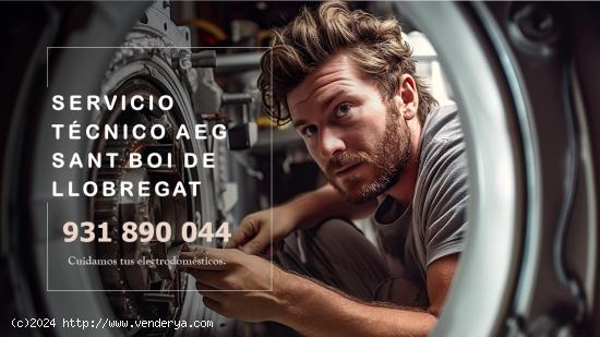  Servicio técnico Aeg Sant Boi de Llobregat 931890044 