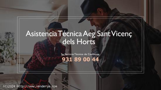  Servicio técnico Aeg Sant Vicenç dels Horts 931890044 