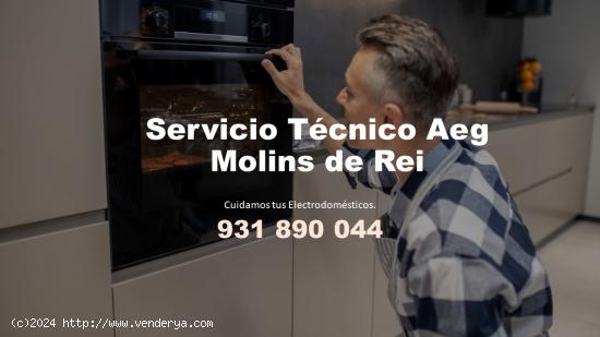  Servicio técnico Aeg Molins de Rei 931890044 