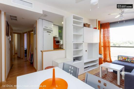  Apartamento amueblado de 1 dormitorio con aire acondicionado en alquiler en Almenara - MADRID 